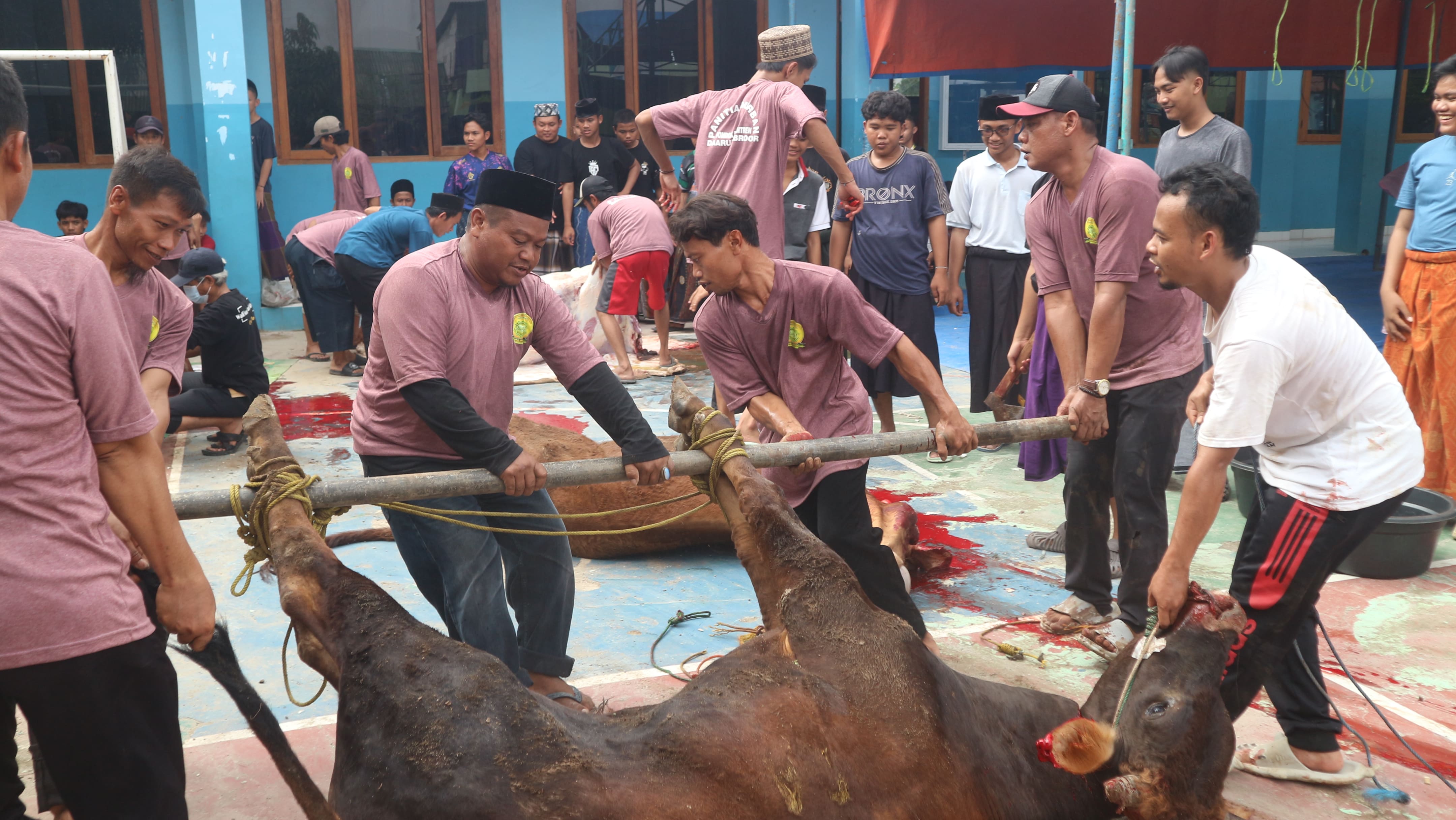 Dokumentasi Idul Qurban