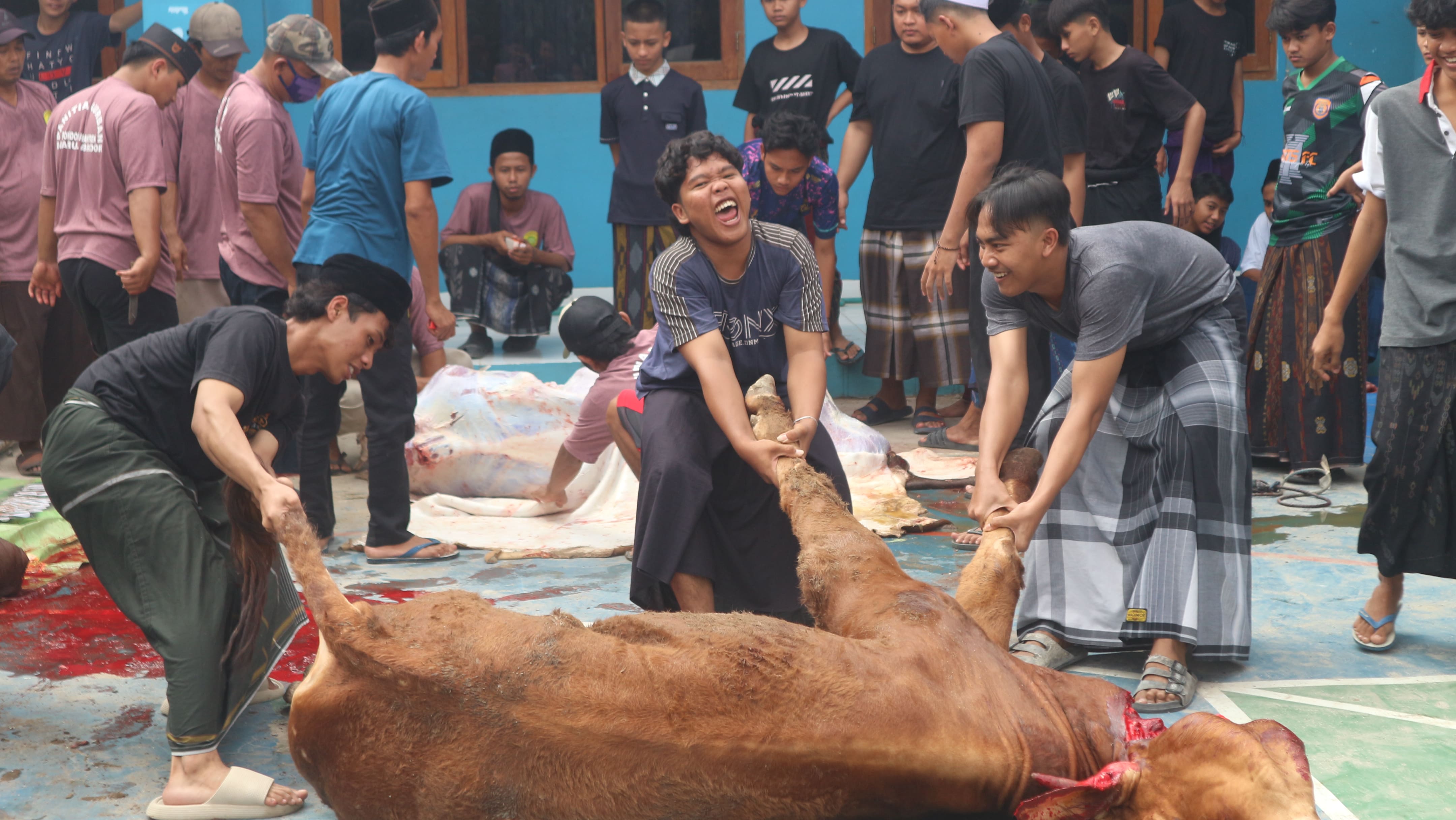 Dokumentasi Idul Qurban